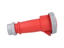TP-CIS-3PT32HET — CONECTOR IND HEMBRA PARA EXTENSION 3P+T 32A415VCA (PARA MACHO #TP-CIP-3PT32LT) 