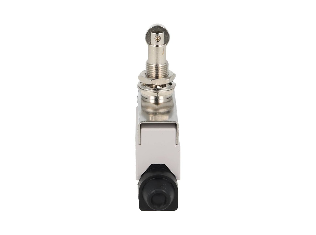 XZ7-312 — MICROSWITCH MINIATURA ROLDANA METALICA, TRANSVERSAL 1NA+1NC, 10A 250V