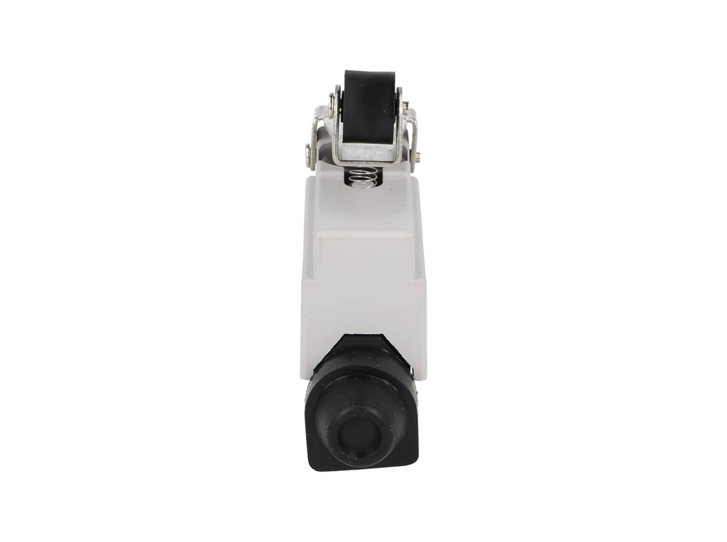 XZ7-141 — MICROSWITCH MINIATURA PALANCA CORTA, ROLDANA PLASTICA, 1NA+ INC 10A 250V
