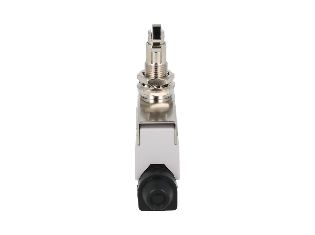 XZ7-311 — MICROSWITCH MINIATURA ROLDANA METALICA, 1NA+1NC, 10A 250V