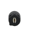 J-701 — CLAVIJA INDUSTRIAL CON SEGURO 15A/125VCA2 POLOS (1PHASE) + TIERRA