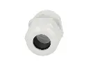5308960_1.webp