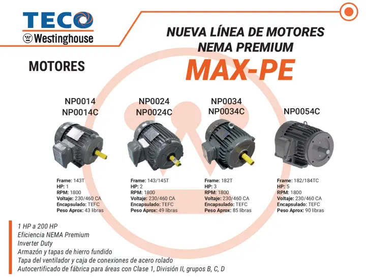 teco motores.webp