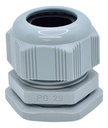 Conector Glándula Pg29 Pack 25 Tekno Powers Cg-pg29-pk25