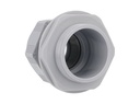 CG-PG36 - CONECTOR GLAND.PG36 32.5MM POLIAM. GRIS