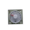 880202300002 — TEMPORIZADOR 11PIN 2CC