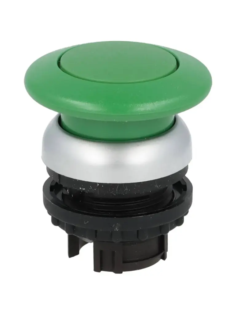 M22-DP-G — BOTON HONGO MOMENTANEO