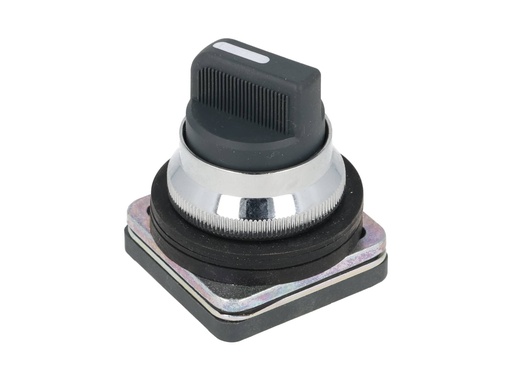 [AS2-2PSR] AS2-2PSR — SELECTOR 2 POSICIONES MOMENTANEO 30MM